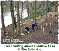 Tree planting activity on the slopes above Gledhow Lake