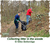Collecting litter in Gledhow Valley Woods