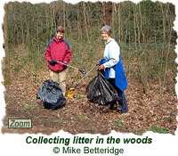 Collecting litter in Gledhow Valley Woods