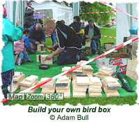 Build your own bird boxes