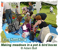 Making meadows in a pot and bird boxes