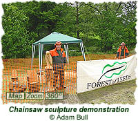 Chainsaw sculpture demonstration