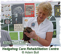 Hedgehog Care Rehabilitation Centre