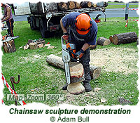 Chainsaw sculpture demonstration
