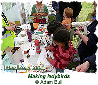 Making ladybirds