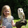 Meeting a barn owl