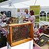 Beekeeper stall