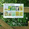 Meadow wildlife guide