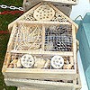 Bird box making and Bug Hotels