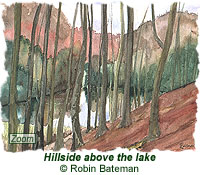 Hillside above the lake