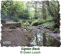 Gipton Beck