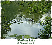 Gledhow Lake