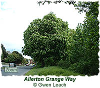 Allerton Grange Way
