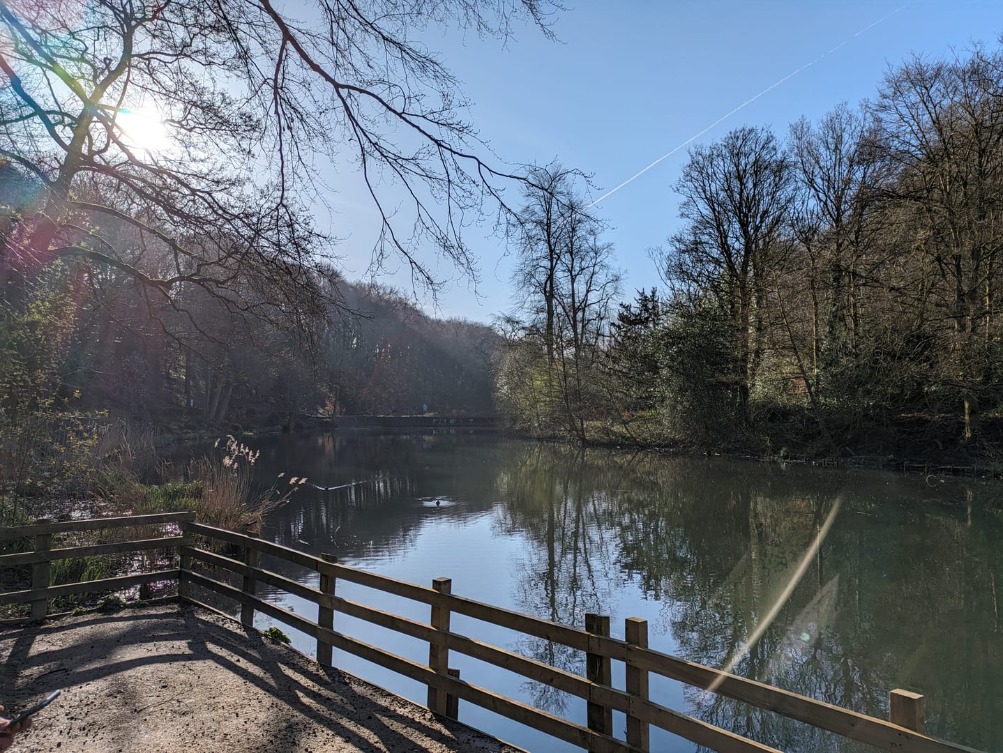 Gledhow Valley pond in winter