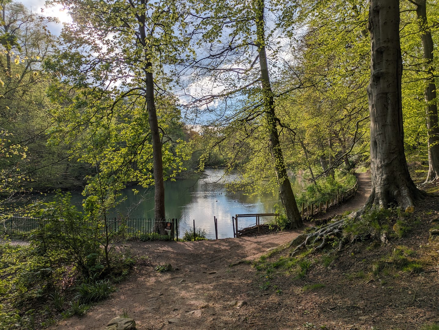 The pond at Gledhow Valley Woods in spring